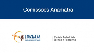Formação e Cultura: comissões do Conselho Acadêmico da Enamatra e da Revista Trabalhista definidas							