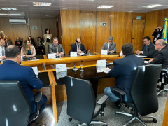 Anamatra participa de reunião preparatória para 111ª Conferência Internacional do Trabalho							