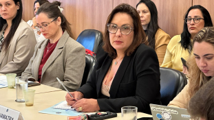 Combate ao tráfico de pessoas: Anamatra participa da 17ª Reunião Ordinária do Conatrap							